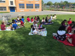 picnic